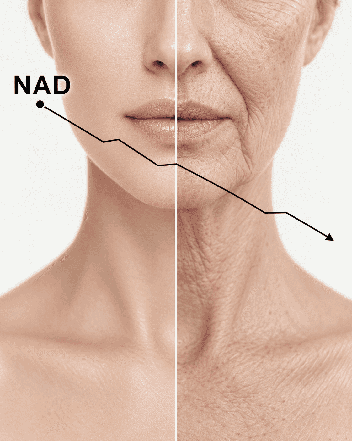 Why Everyone's Talking About Peptides, NAD+ and GLP-1